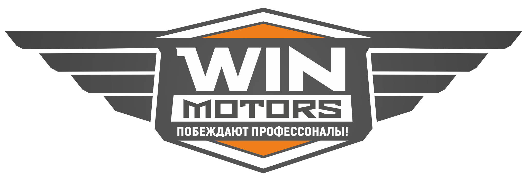 Vin motors. Вин Моторс. Логотип мувинговой компании.